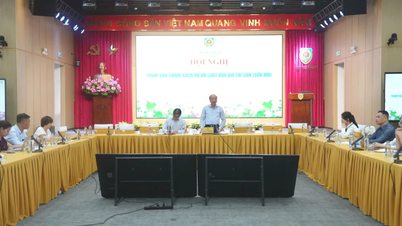 नीलामी में भाग लेने से प्रतिबंधित व्यक्तियों से संबंधित नियमों की समीक्षा और संशोधन करें।