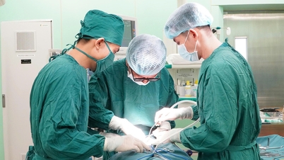 Primera cirugía de extracción de cálculos de la glándula submandibular realizada en el Hospital General de Vung Tau.