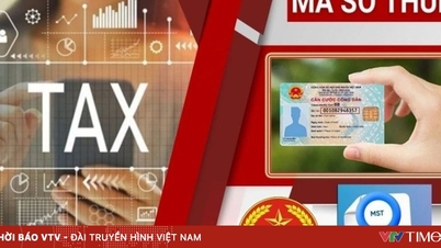 Примітка щодо стандартизації індивідуальних ідентифікаційних податкових номерів.