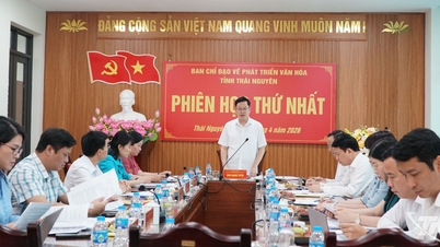 Thai Nguyen İli Kültürel Kalkınma Yönlendirme Komitesi'nin ilk toplantısı: Görevlerin gözden geçirilmesi ve belirlenmesi.