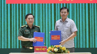 The Border Guard of An Giang province signed a cooperation agreement with 35 communes, wards, and special zones.