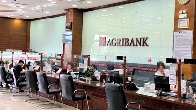 Pobočka Agribank 9: Odhodláni prorazit a úspěšně dokončit obchodní úkoly v roce 2026.