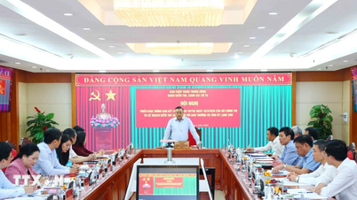 Announcement of the conclusions of the inspection and supervision with the Standing Committee of the Lang Son Provincial Party Committee.