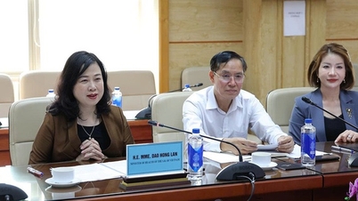 La ministra Dao Hong Lan recibe al ex embajador de Estados Unidos en Vietnam, en el marco de la promoción de la cooperación bilateral en materia de salud.