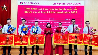 Agribank Tuyen Quang improves credit and service quality.