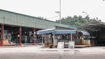 Ανόι: Πόσα σχολεία στην περιοχή Thanh Liet χρησιμοποιούν χοιρινό κρέας από την εταιρεία Cuong Phat;
