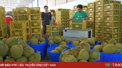 Exporturile de durian către China au crescut cu aproape 400%.