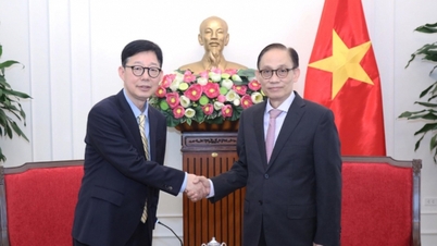 Minister Le Hoai Trung receives First Vice Minister of Foreign Affairs of South Korea Park Joon Yoo