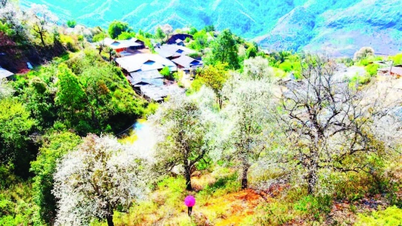 পার্বত্য অঞ্চলের আকাঙ্ক্ষা