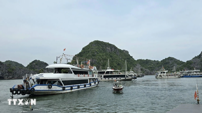 Standardize regulations for coordinating the management of tourist boats between Ha Long Bay and Lan Ha Bay.