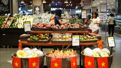 Yurtdışında yaşayan Vietnamlıları Vietnam ürünlerini tanıtmak ve tüketmelerini sağlamak, ayrıca Vietnam malları için dağıtım kanalları geliştirmek.