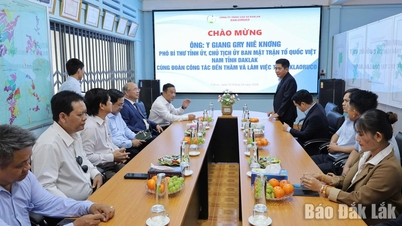 Provincial leaders held a meeting with Dak Lak Rubber Company Limited in Laos.