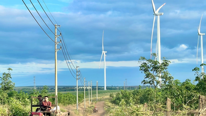 Gia Lai's electricity production and distribution sector achieved a growth rate of 15.46% in the first quarter of 2026.