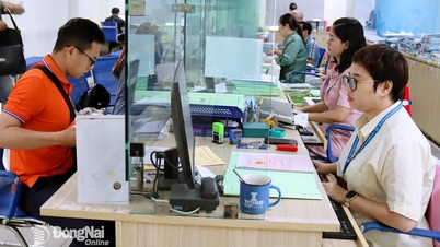 Mengorganisasi data lahan sesuai dengan model pemerintahan lokal dua tingkat.