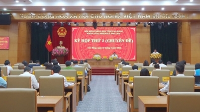 Through the investment plan for the Bac Kan - Cao Bang expressway with a scale of 29,300 billion VND.
