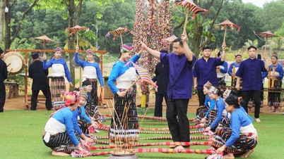 Improving cultural conduct in tourism activities for the community.