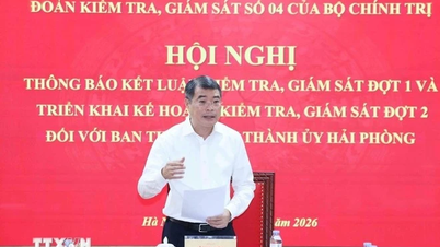 Anunțarea constatărilor inspecției privind Comitetul permanent al Comitetului de Partid din orașul Hai Phong.