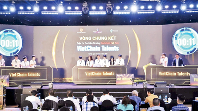 Quản trị rủi ro trên sàn thí điểm tài sản mã hóa
