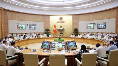 O primeiro-ministro Pham Minh Chinh presidiu a reunião regular do governo em março sobre desenvolvimento socioeconômico.