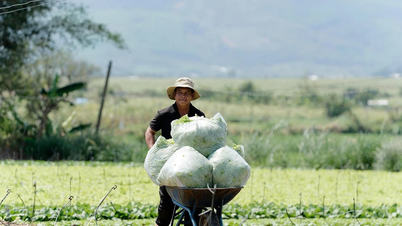 "Leverage" helps farmers produce more efficiently.