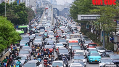 Hanoi and Quang Ninh are the localities with the highest cost of living in the country.