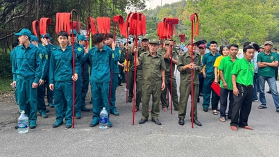 O distrito de An Cựu estabeleceu 4 grupos autônomos para proteger as florestas de pinheiros.