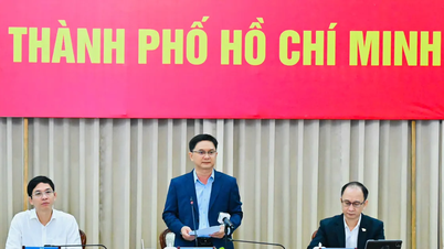 Ho Chi Minh Şehri, Özel Kentsel Alanlar Hakkındaki Kanun Taslağı konusunda uzmanlara danışıyor.
