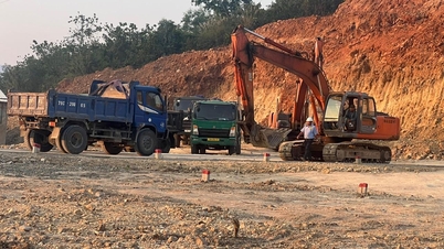 El Comité Popular Provincial ha ordenado que se aborde de manera rápida y decisiva la situación de explotación ilegal de tierras en la comuna de Dien Lac.