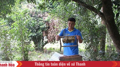 Ulike tiltak for fattigdomsreduksjon i Xuan Thai