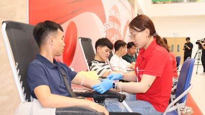 Une collecte de sang dynamique intitulée « Partageons le don ensemble » s'est déroulée chez Goertek Vietnam.