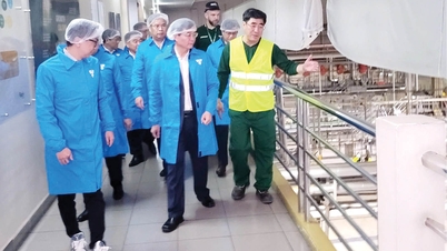Attracting selective investment: A perspective from the Phu Bai Brewery.