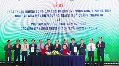 ក្រុមហ៊ុន PV GAS ចុះហត្ថលេខាលើកិច្ចព្រមព្រៀងឧស្ម័នធម្មជាតិរាវ (LNG) ទ្រង់ទ្រាយធំ ដោយពង្រីកហេដ្ឋារចនាសម្ព័ន្ធផ្គត់ផ្គង់ឧស្ម័នសម្រាប់រោងចក្រថាមពលសំខាន់ៗ។