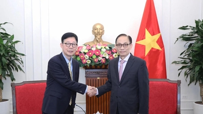 Le ministre Le Hoai Trung reçoit le premier vice-ministre des Affaires étrangères de Corée du Sud.