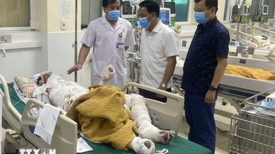 ディエンビエン：森林火災の消火活動に参加していた3人が、特に重度の火傷を負った。