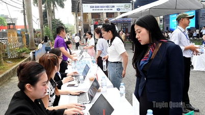 Vinpearl Tuyen Quang İş Bulma Fuarı'nda yaklaşık 1.000 cazip iş fırsatı bulunuyor.