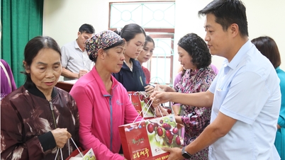 Donating 50 gift packages to disabled children and visually impaired members in difficult circumstances.