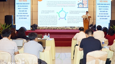 Đồng Nai triển khai Nghị quyết 254 để tháo gỡ điểm nghẽn trong quản lý đất đai cho 95 phường, xã