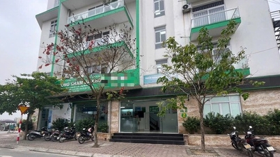 Authorities discovered that the clinic director, doctors, and staff were falsifying documents.