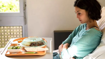 Perte d'appétit en cas de maladie : dévoilement du « canal de communication » particulier entre l'intestin et le cerveau.