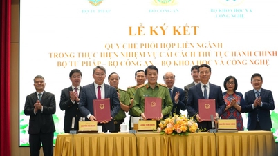 Three ministries coordinate inter-agency efforts to accelerate administrative reform.