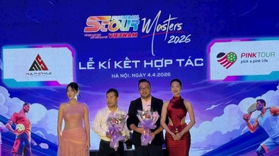 7.000 vận động viên dự Giải Stour Pickleball Vietnam Masters 2026