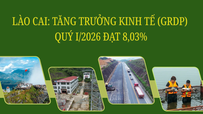 Lao Cai: O crescimento econômico (GRDP) no primeiro trimestre de 2026 atingiu 8,03%.