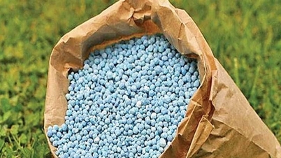 Fertilizer prices today, April 4, 2026: Urea, NPK, and Potassium remain unchanged.