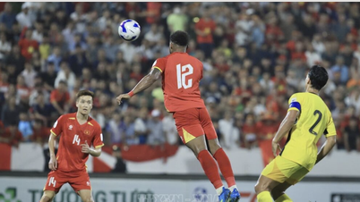 'Malaysian football needs more naturalized players to keep up with the Vietnamese national team, but…'