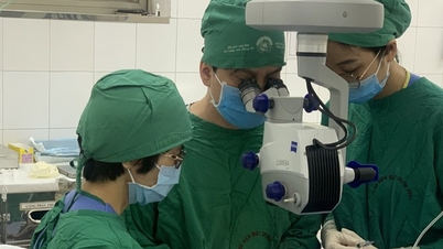 With a shortage of corneal transplants, biotechnology offers a way out for patients who are blind.