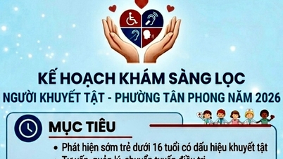A Tan Phong kerületben a fogyatékosság-szűrés terve 2026-ban
