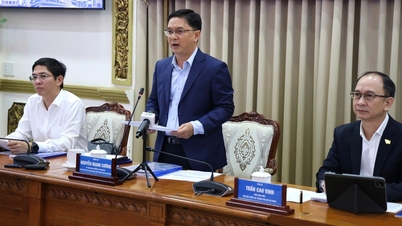 A special urban law is needed, linked to the development positioning of Ho Chi Minh City.