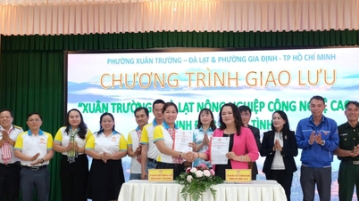 Sharing experiences in building new rural areas and civilized urban areas.