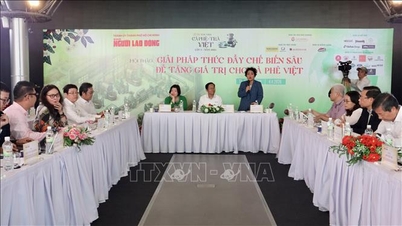 Promoting deep processing linkages to increase the value of Vietnamese coffee.