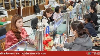 Tran Luong aylık 106 milyon VND'den fazla işsizlik sigortası primi ödüyor.